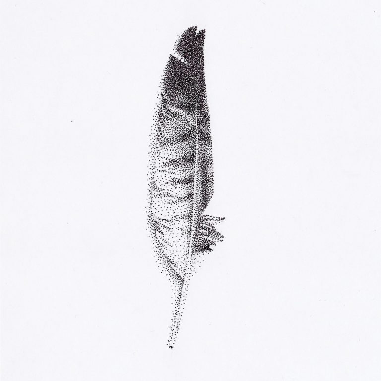 pointillist drawing of feather