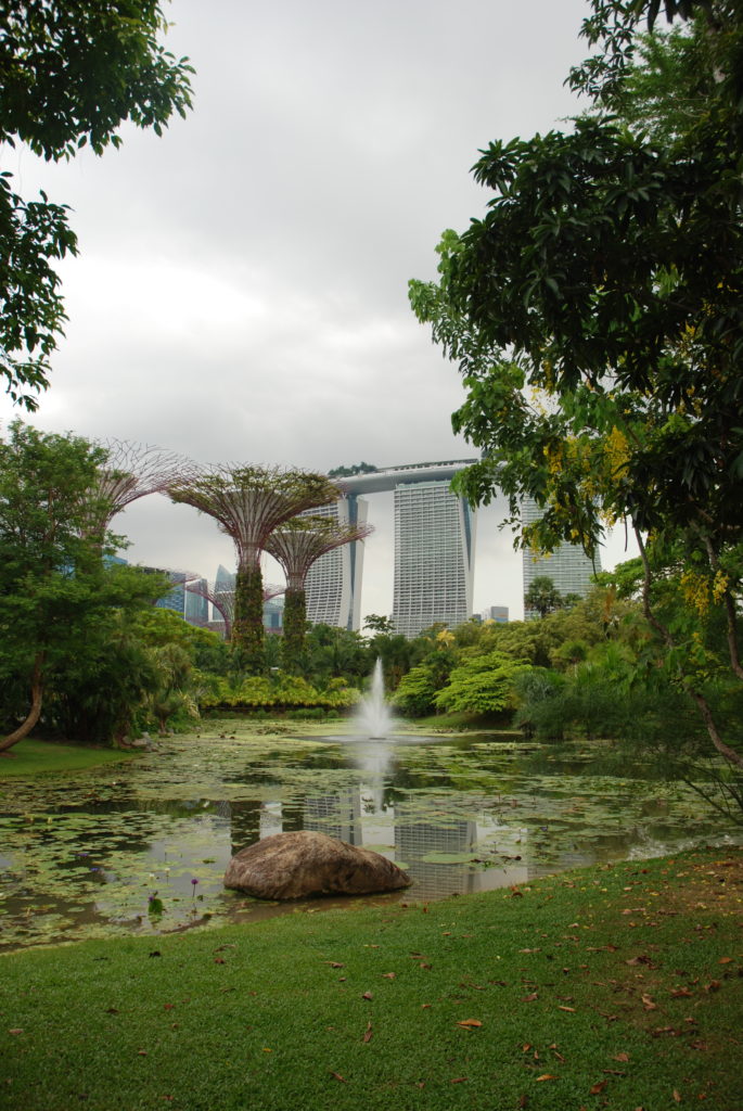 Gardens by the Bay with Supertrees and Marina Bay Sands in the background